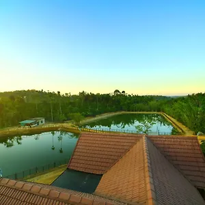 Resort Brown Bean, Kalpetta